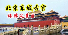 蜜穴抽插小说分类白虎视频中国北京-东城古宫旅游风景区